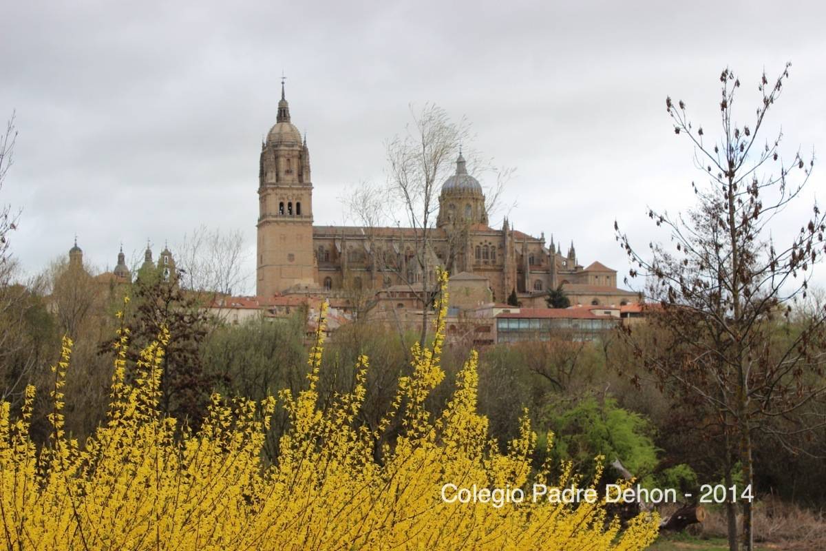 2014 03 22 SALAMANCA (11)